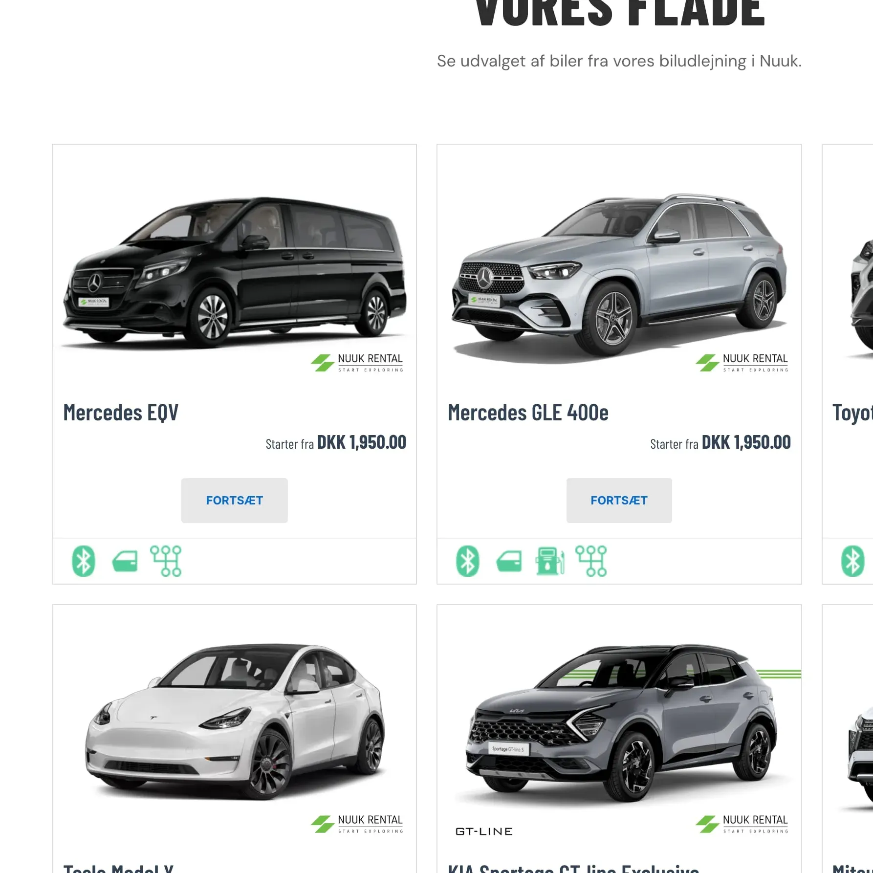 Nuuk Rental, Fleet up close.